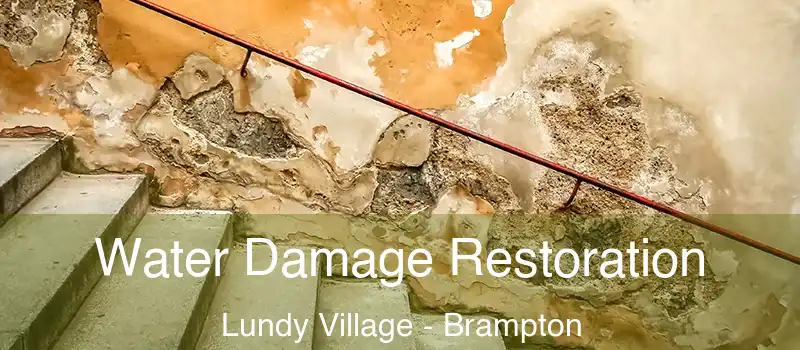  Water Damage Restoration Lundy Village - Brampton