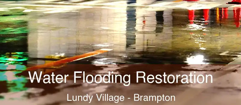  Water Flooding Restoration Lundy Village - Brampton