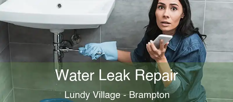  Water Leak Repair Lundy Village - Brampton