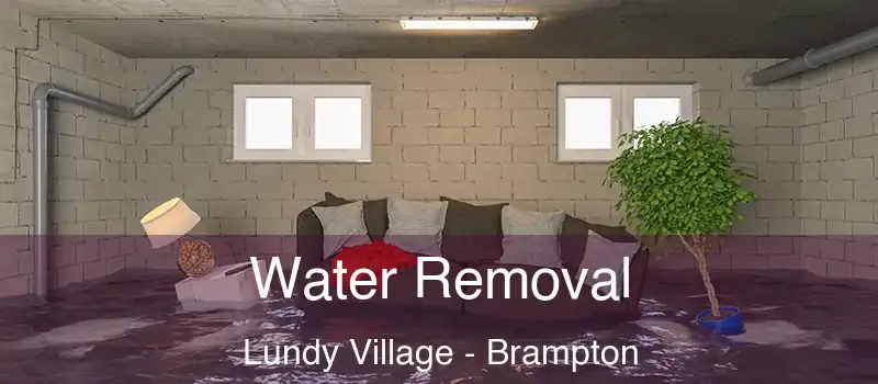  Water Removal Lundy Village - Brampton