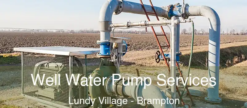  Well Water Pump Services Lundy Village - Brampton